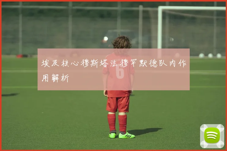 埃及核心穆斯塔法穆罕默德队内作用解析