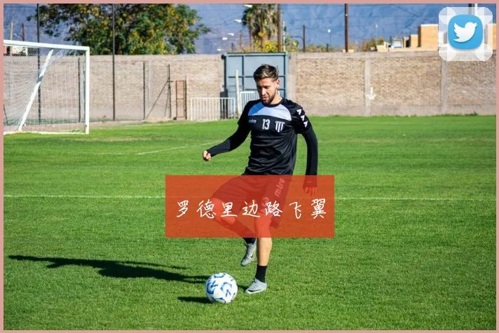 罗德里边路飞翼