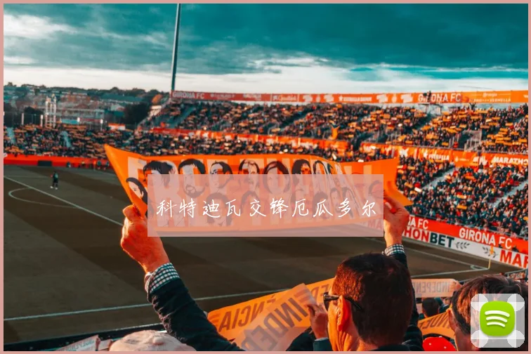 科特迪瓦交锋厄瓜多尔
