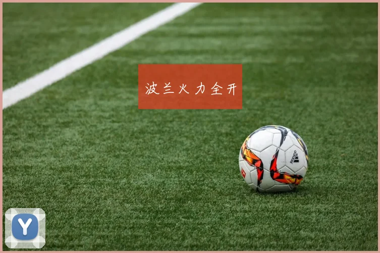 波兰火力全开