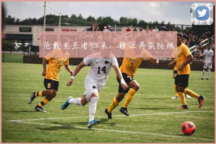 范戴克王者归来，铁卫再筑防线