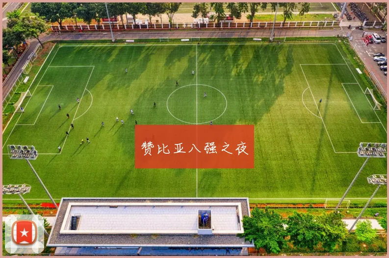 赞比亚八强之夜
