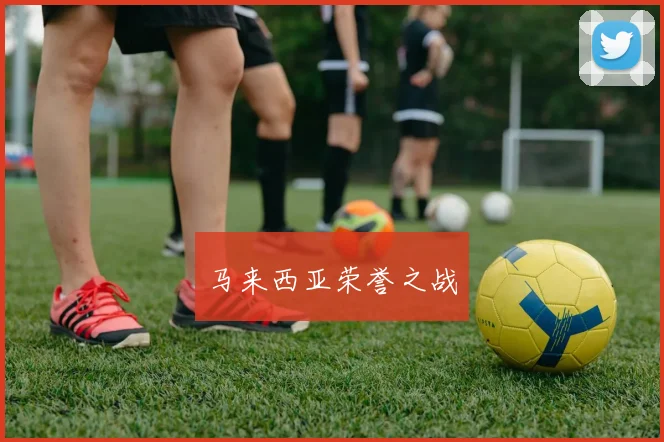 马来西亚荣誉之战