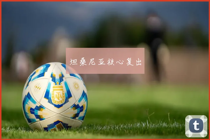 坦桑尼亚核心复出