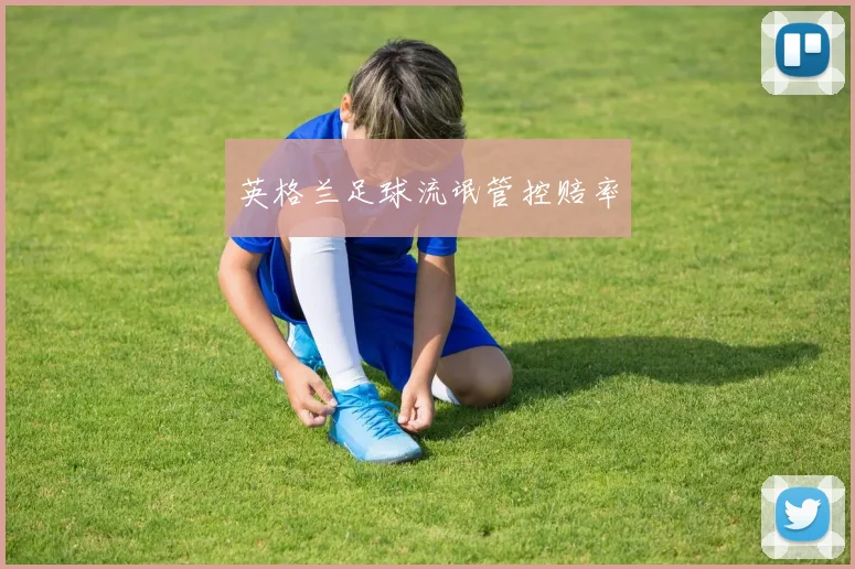 英格兰足球流氓管控赔率