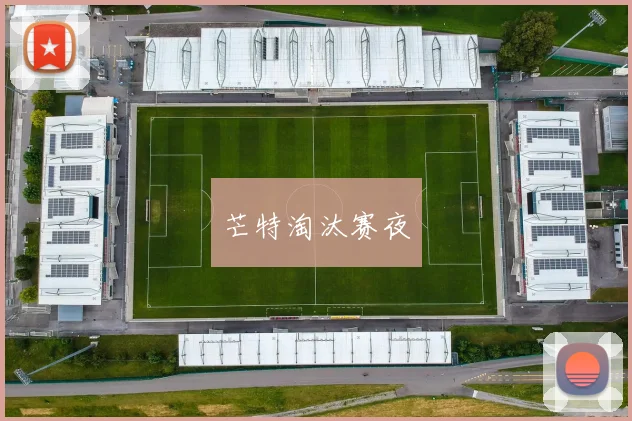 芒特淘汰赛夜