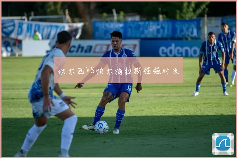 切尔西VS帕尔梅拉斯强强对决