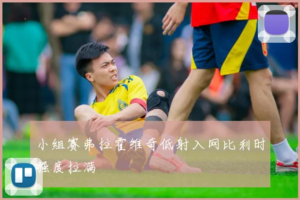 小组赛弗拉霍维奇低射入网比利时强度拉满