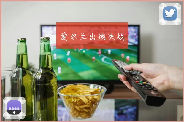 爱尔兰出线决战