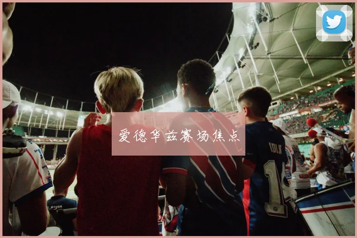 爱德华兹赛场焦点