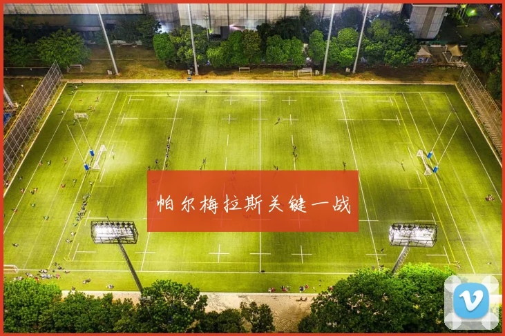 帕尔梅拉斯关键一战