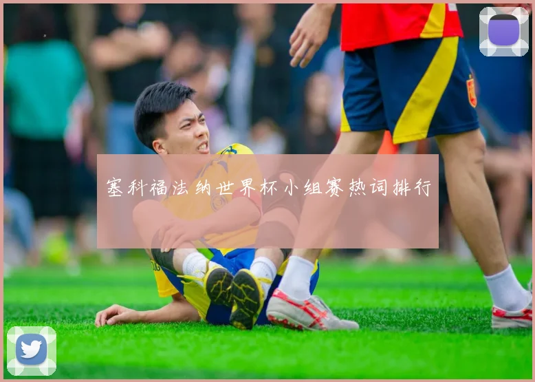 塞科福法纳世界杯小组赛热词排行