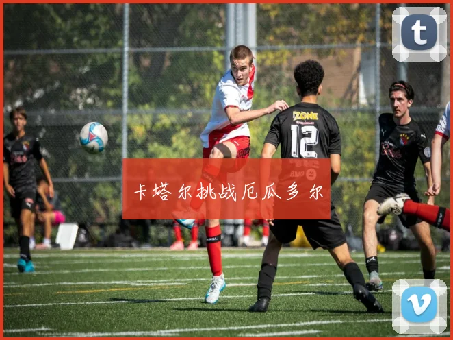 卡塔尔挑战厄瓜多尔