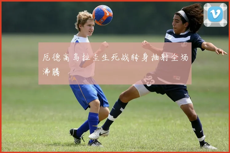 厄德高乌拉圭生死战转身抽射全场沸腾