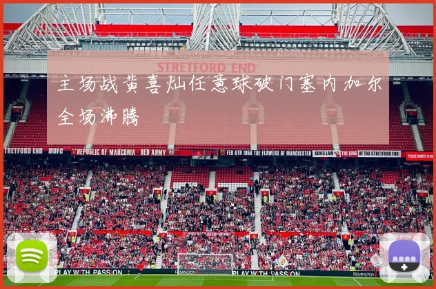 主场战黄喜灿任意球破门塞内加尔全场沸腾