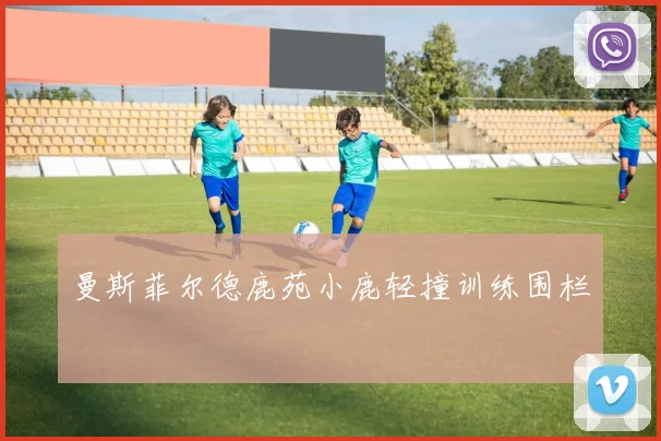 曼斯菲尔德鹿苑小鹿轻撞训练围栏