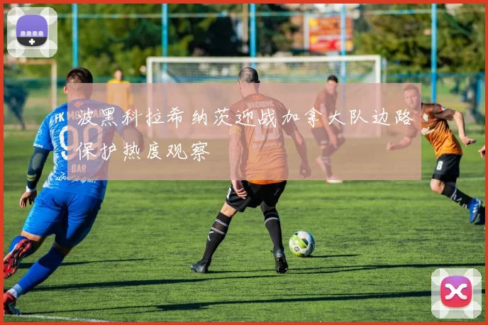 波黑科拉希纳茨迎战加拿大队边路保护热度观察